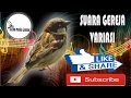 Suara Gereja Variasi Untuk Kualitas Lomba Dengan Jeda Suara Jernih Mp3 - Mp4 Download