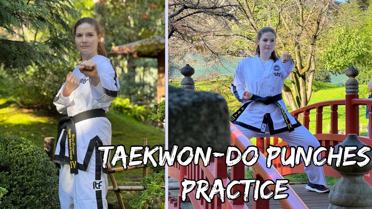 Taekwondo Punches Practice YouTube