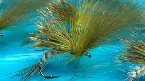 Tying a Large MayFly Emerger by Davie McPhail.