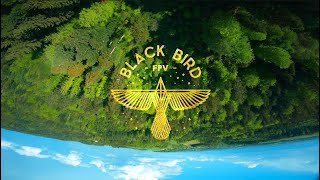 BLACK BIRD FPV FPV FREESTYLE - Trying to fly more human ( JUICE is not DEAD)