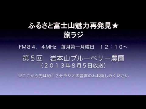 岩本山ブルーベリー農園の紹介動画サムネイル