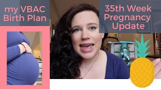 Natural VBAC Birth Plan | Week 35 Pregnancy Update