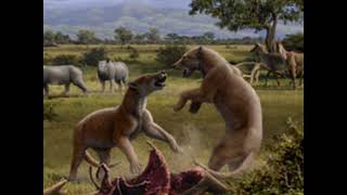 Epicyon Sound Effect