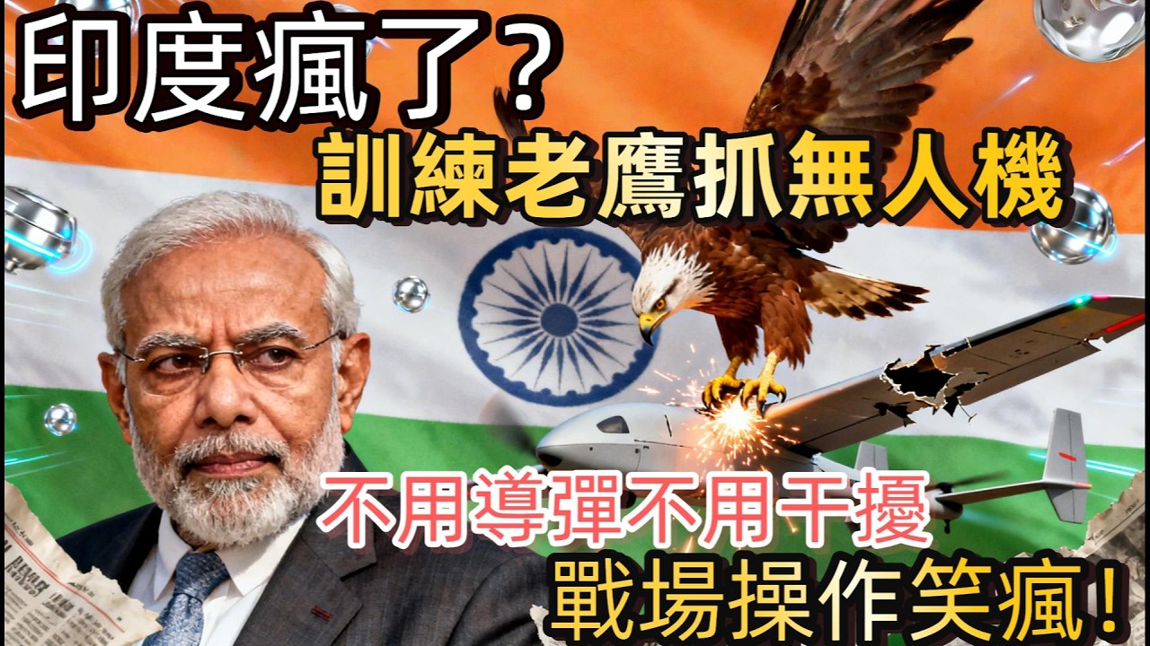 印度戰場神操作！訓練老鷹帶網抓無人機，低空反制低成本又高效，看完徹底震驚！