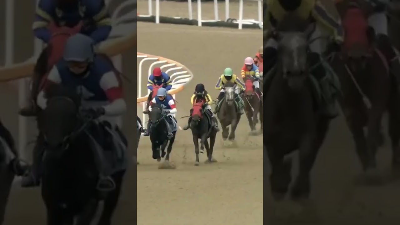 16배4-5 적중