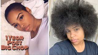 1 Year Post Big Chop - Natural Hair Journey