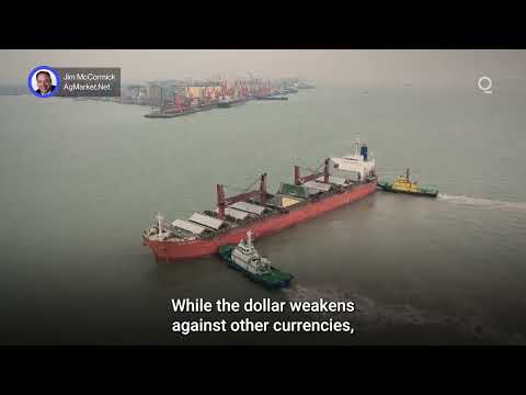 Grain Markets Feel Dollar’s Downward Drift | Presented by CME Group