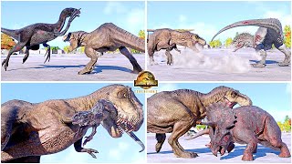 Queen Rexy VS All Dinosaurs Fighting & Hunting Animations 🦖 Jurassic World Evolution 2 🦕 T-REX 2022