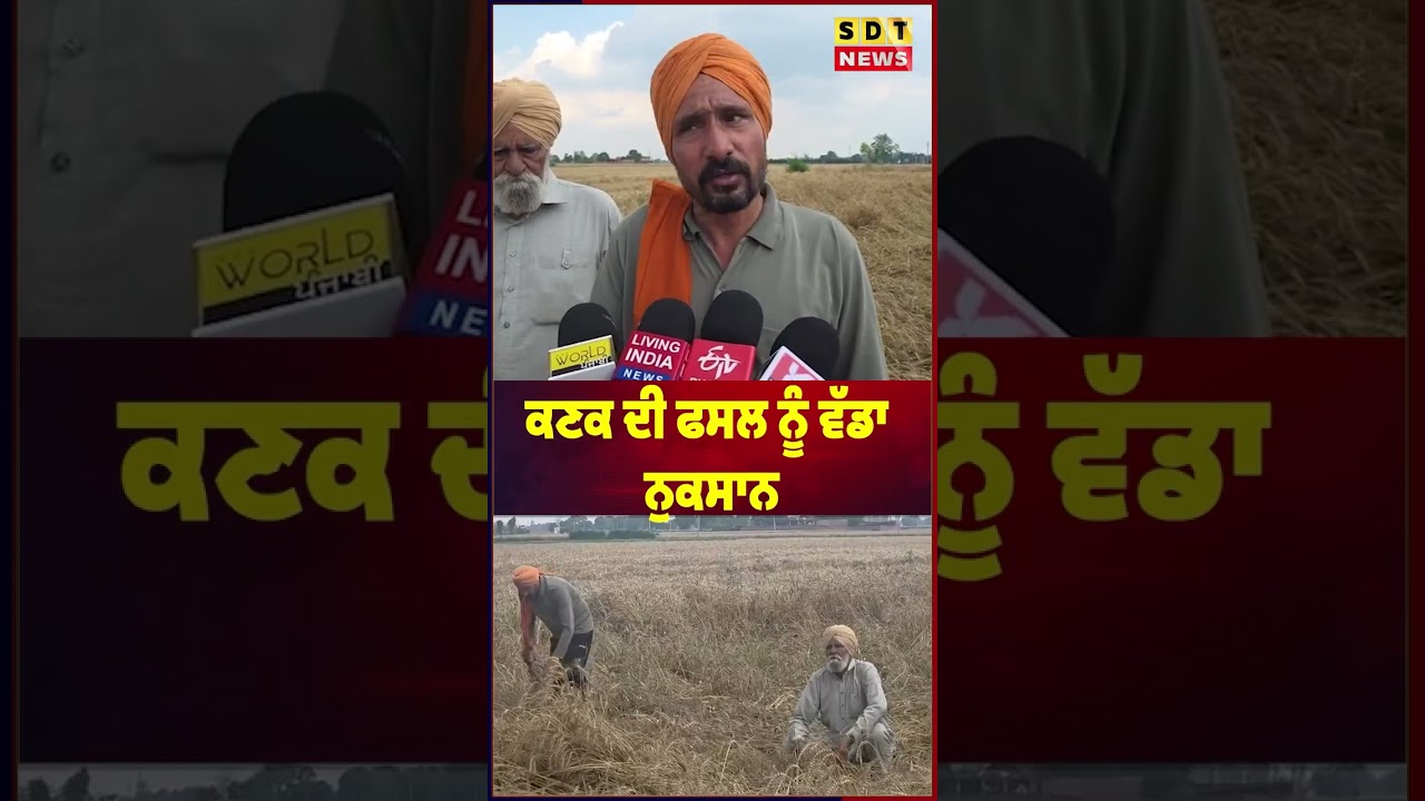 ਬੇਮੌਸਮੀ ਬਾਰਿਸ਼ ਨਾਲ ਕਿਸਾਨਾਂ ‘ਤੇ ਸੰਕਟ!ਕਣਕ ਦੀ ਫਸਲ ਨੂੰ ਵੱਡਾ ਨੁਕਸਾਨ