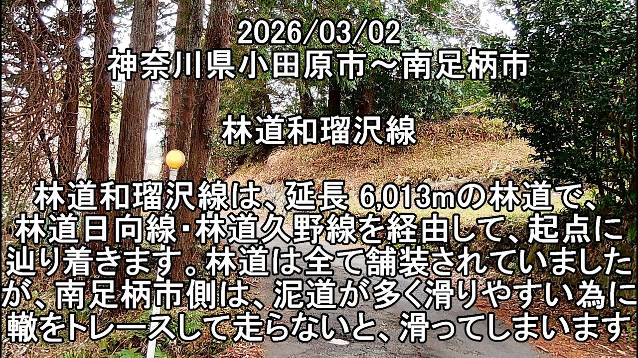 #神奈川県 #小田原市～#南足柄市 #林道和瑠沢線　転倒あり      　#Forestroad 2026/03/02 #vstrom250sx #Vストローム250SX #林道 #バイク #和瑠沢線
