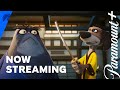 Now Streaming