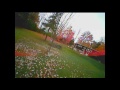 BeeBrain w/ Hubsan 7mm Motors and Custom Frame (106mm)