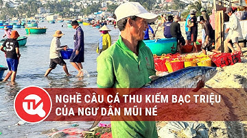 Bí kíp câu cá thu kiếm tiền triệu của người dân Mũi Né | Truyền hình Quốc Hội Việt Nam