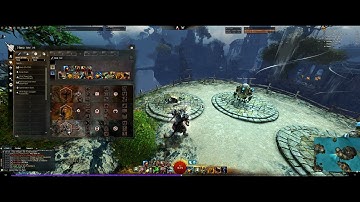 GW2 Nov 29: Rifle Worse than Elixir Gun on a power build...