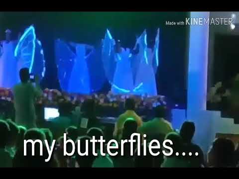 Excel school butterfly dance