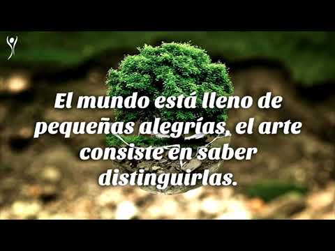 Video valor 3