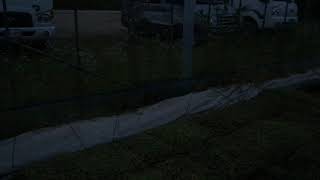 서리태/들깨/검정깨 모종 물주기_이온규산제 200717