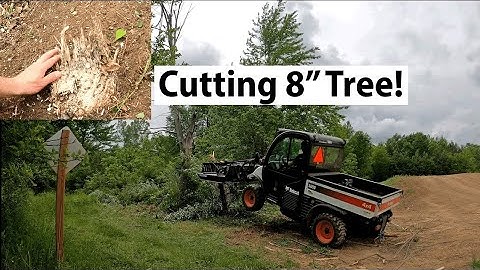 Heavy Machinery loading tree logs short video all work tv,