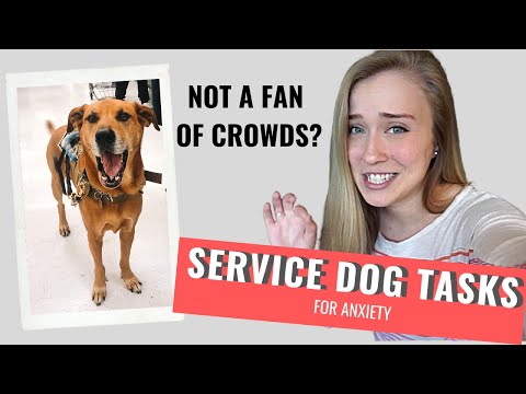 فيديو: كيفية علاج كلب مع parvo