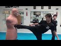 Panther Kung Fu Kicking Form
