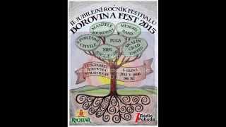 Borovina FEST 8.8.2015