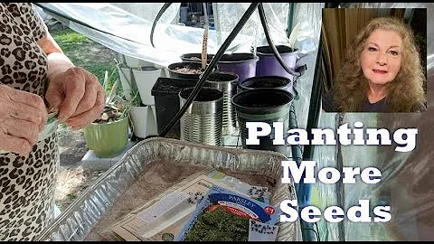 Open Pots To Plant More Seeds