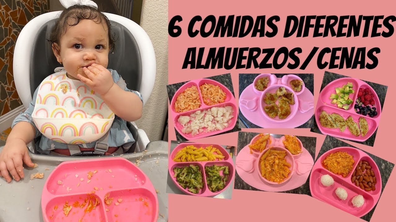 agradable tornillo Roble IDEAS DE COMIDAS PARA BEBES | SEIS ALMUERZOS Y CENAS PARA BEBES DE 10 MESES  EN ADELANTE - YouTube