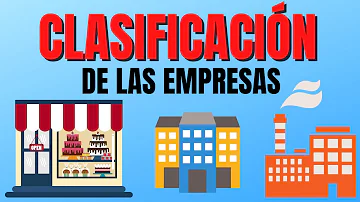 ¿Cuáles son los 9 tipos de empresas?