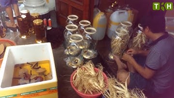 Bình rượu sâm 8 củ 1 kg làm quà biếu tết cao cấp