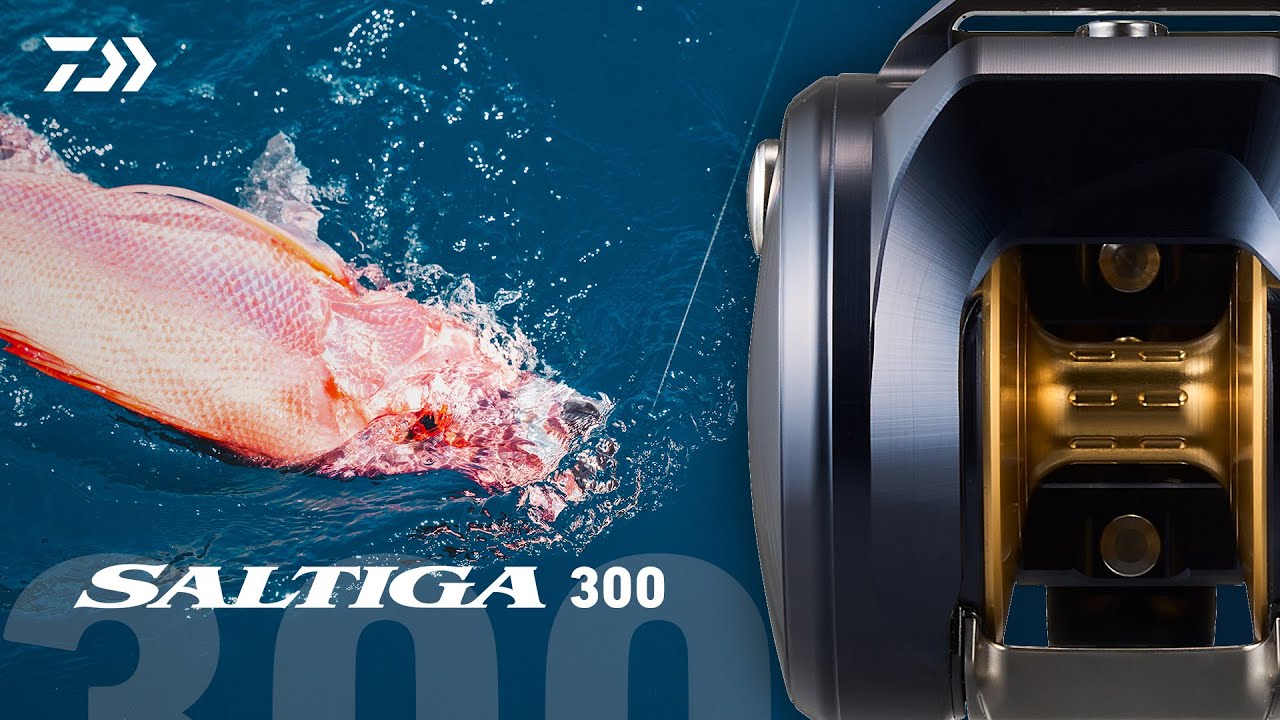 25 SALTIGA 300 | Strength & Precision