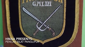 Pencak Silat Panglipur USA Intro Seminar 2