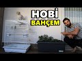 BALKONDA HOBİ BAHÇESİ YAPTIM! Kuş - Kedi - ÇİLEK BAHÇESİ!