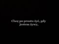 Bon Jovi - It's My Life [tłumaczenie PL]