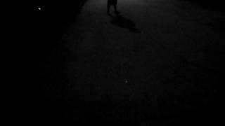 SAM 0311