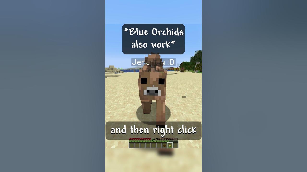 i-tried-the-best-the-food-in-minecraft-and-it-was-amazing-youtube