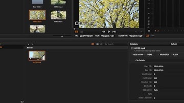 Davinci resolve can