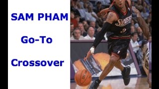 NBA 2K15 Best Crossover Moves + Ankle Breakers Tutorial: "The Pham-ily Stunner Dribble" 2k15 Tips