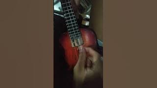 izinkan (Thomaz ) senar 3