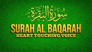 Surah Al-Baqarah (سورة البقرة) | Most Emotional Quran Recitation Ever | Soothing Quranic Voice