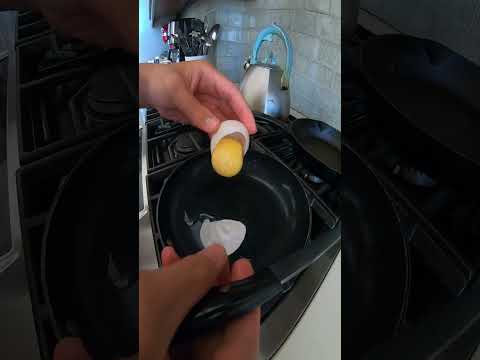 Cara Merebus Telur Penyu Yang Benar