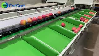 Apple electronic weight sorting  grading machine fruit processing equipment citrus grader for sale