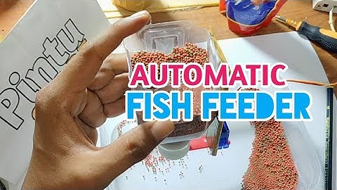 Automatic Fish Feeder With Timer | Memberi Makan Ikan Otomatis Arduino