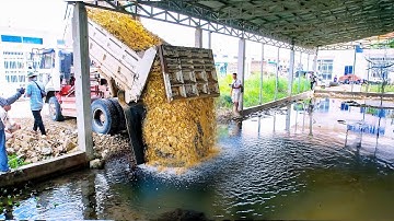 WOW!! project is unique. to add soil to prevent flooding by Dozer MINI push soil for building market