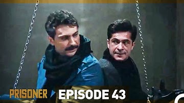 Prisoner Episode 43