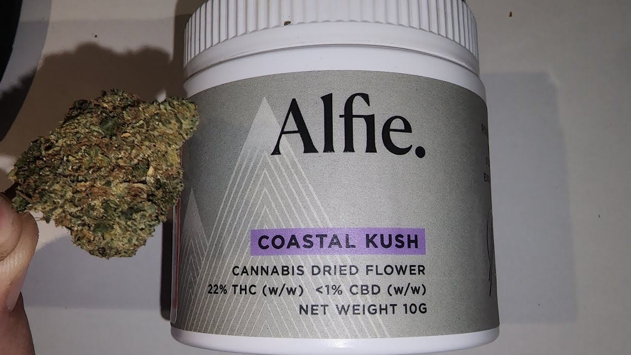 Alfie coastal kush 7.8☆ 22 THC YouTube