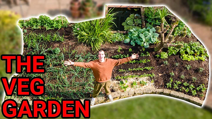 Growing a Vegetable Garden - Day 1 to Day 150 - DayDayNews