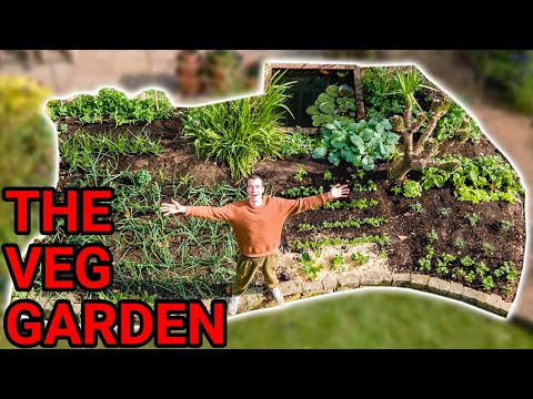Videó: Plant A Row Gardening – Zöldségek termesztése és adományozása az éhezőknek