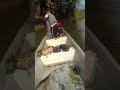 Pesca artesanal con atarraya
