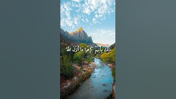 This Part of the Quran Will Shake You 😳— Surah Muhammad سورة محمد