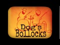 Dog's Bollocks - Scar